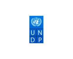 undp